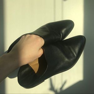 Everlane The Modern Babo